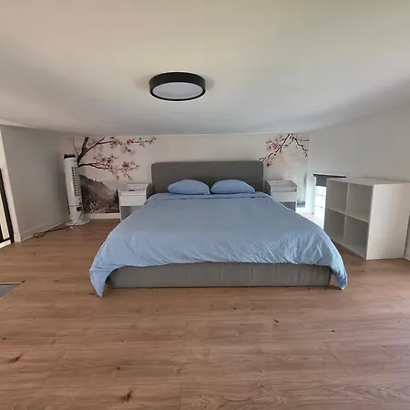Loft Jacuzzi - Rer A A 1 Min - Paris Disneyland - Parking Apartamento *