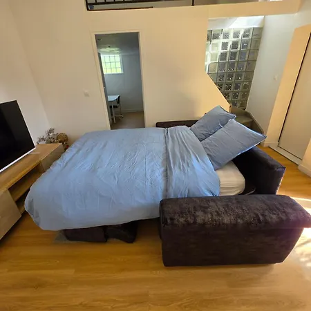 Loft Jacuzzi - Rer A A 1 Min - Paris Disneyland - Parking Apartamento *